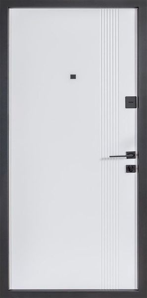 172, зсередини, біла шагрень